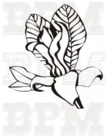 /album/kvety-stromy/kvety-6-jpg/